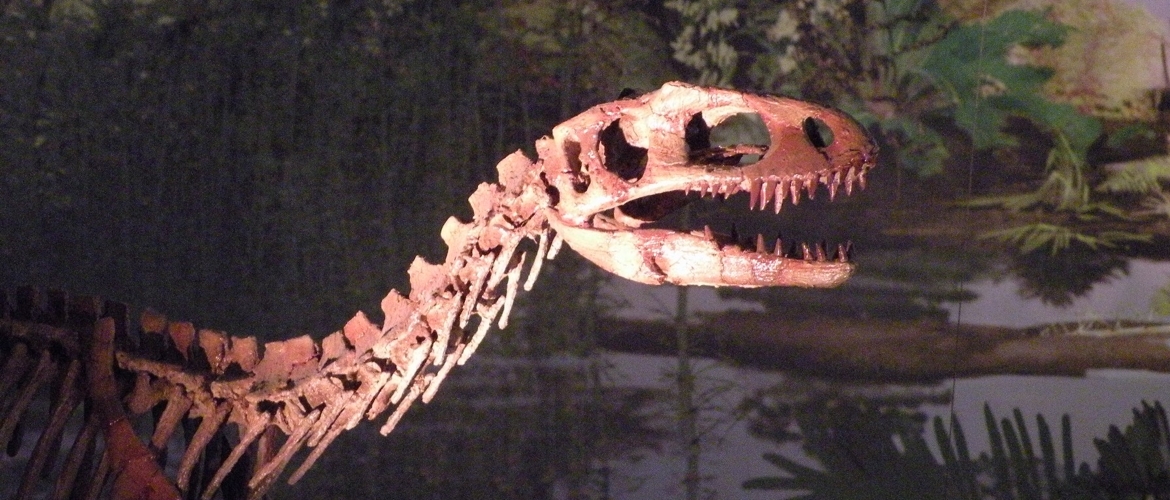 A imagem mostra uma das réplicas de fóssil de dinossauro presente na exposição Memórias da Terra,